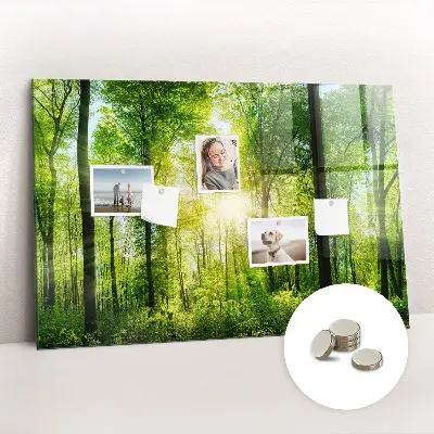 Tablă magnetică cu model de pădure și copaci