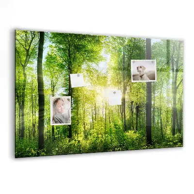 Tablă magnetică cu model de pădure și copaci