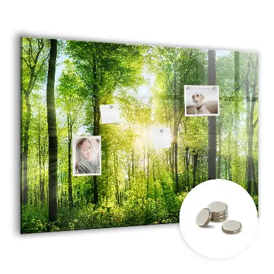 Tablă magnetică cu model de pădure și copaci