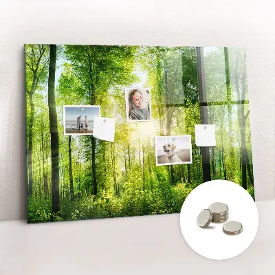 Tablă magnetică cu model de pădure și copaci