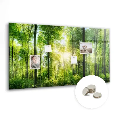 Tablă magnetică cu model de pădure și copaci