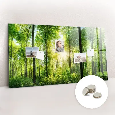 Tablă magnetică cu model de pădure și copaci