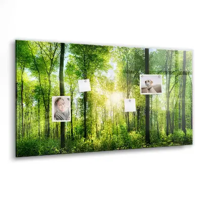 Tablă magnetică cu model de pădure și copaci