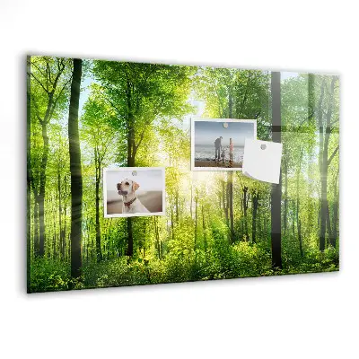 Tablă magnetică cu model de pădure și copaci