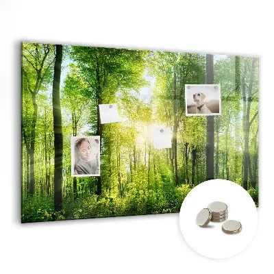 Tablă magnetică cu model de pădure și copaci