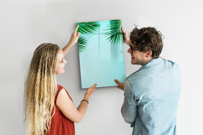 Tablă magnetică de scris Frunze de palmier