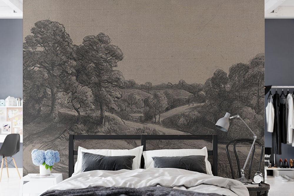 Imagini de fundal din natură